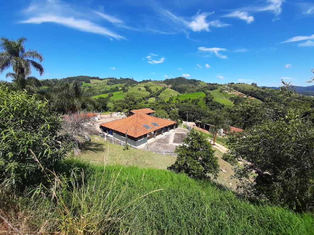 Sitio À venda em Amparo